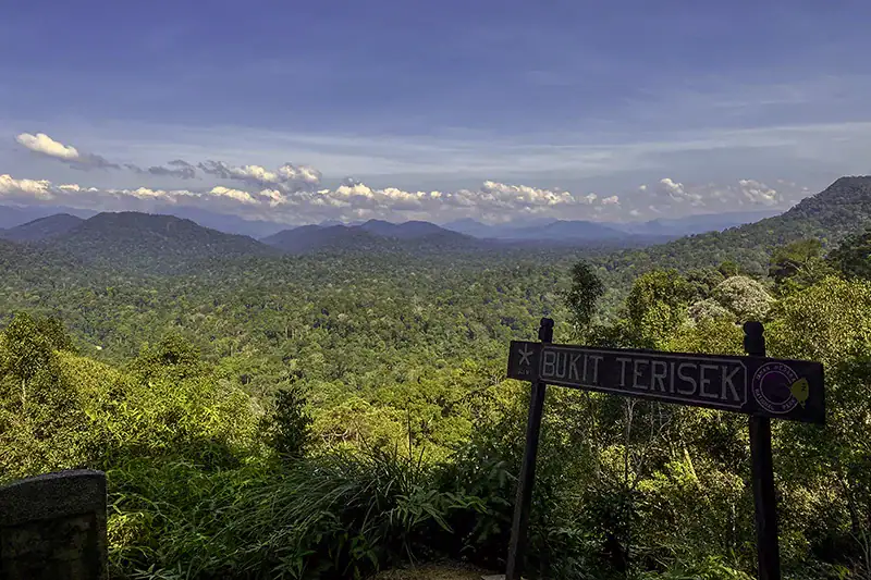 Panoramic view of Gunung Tahan seen from Bukit Teresek after jungle trekking in Taman Negara