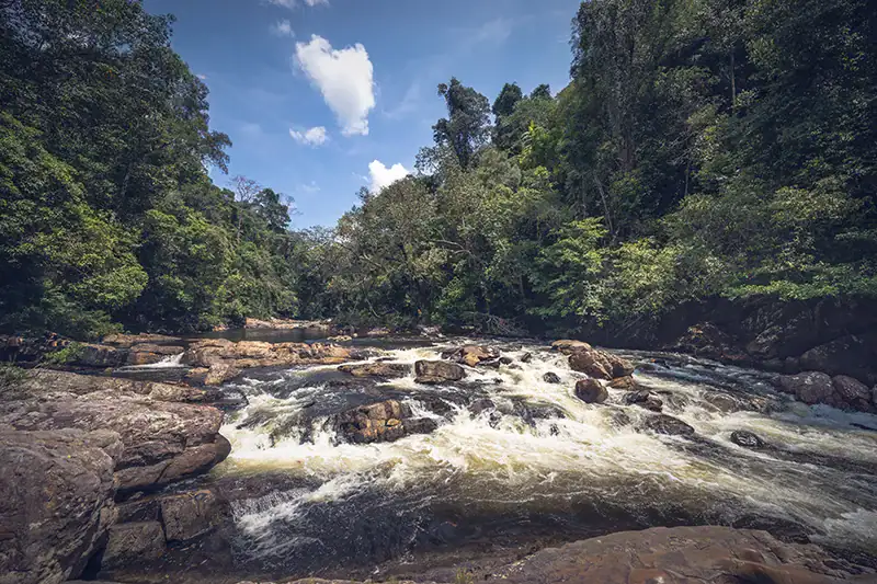 Scenic view of Lata Berkoh rapids surrounded by rainforest in Taman Negara Pahang