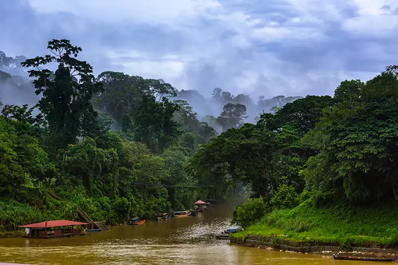Scenic view of lush rainforest and river surrounded by morning mist in Taman Negara Pahang