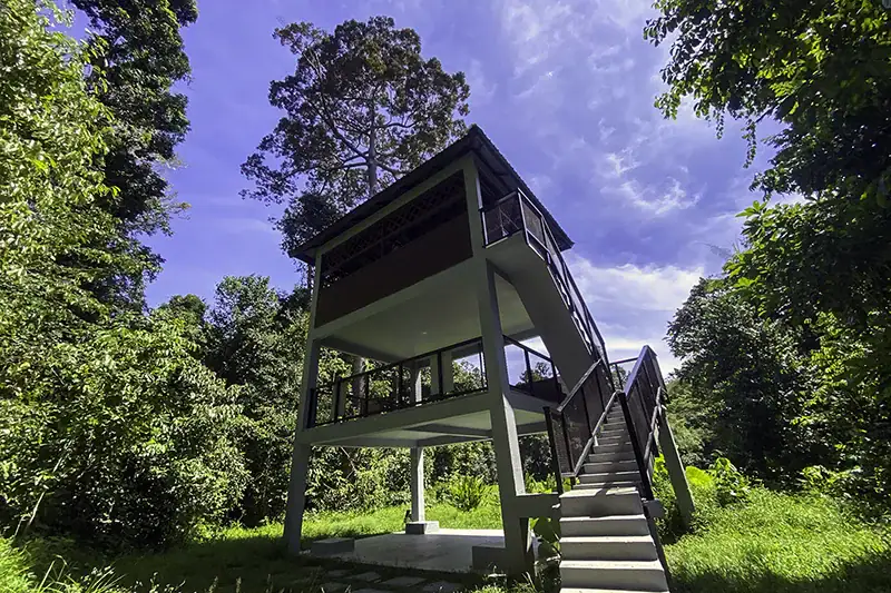 Elevated bumbun hide used for overnight wildlife watching in Taman Negara rainforest