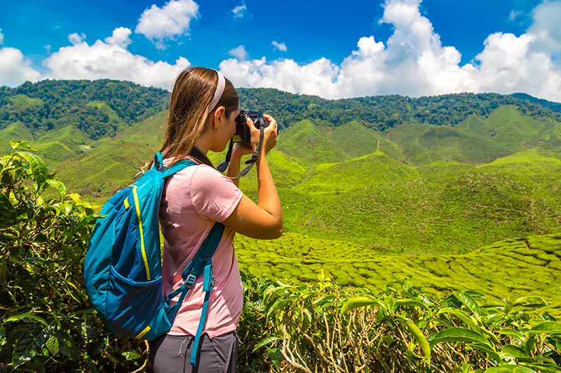 Female tourist with a backpack taking a photo of Cameron Highlands tea plantation on a sunny day