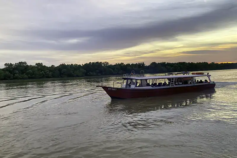 Boat tour departing at sunset for Kuala Selangor fireflies watching experience