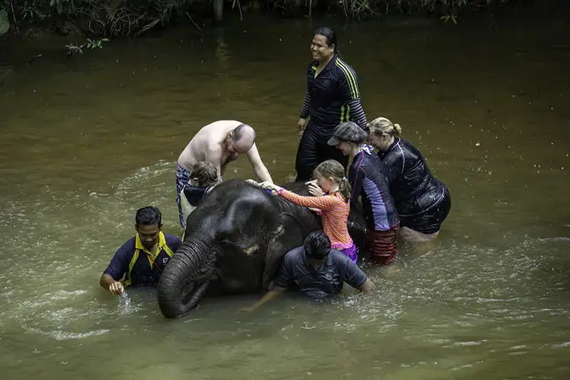 Family bathing with a baby elephant in Kuala Gandah Elephant Sanctuary, Malaysia, in a small group ethical session.