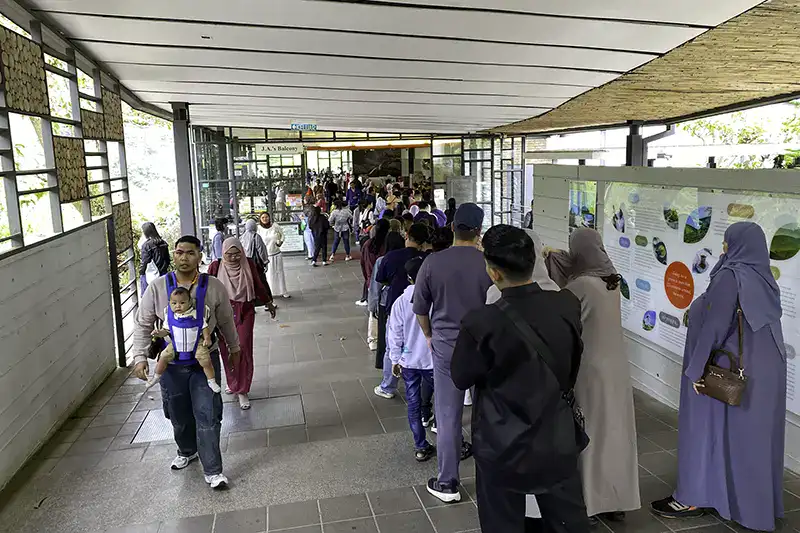 Long queue of visitors at BOH Tea Cameron Highlands tea plantation on a busy weekend
