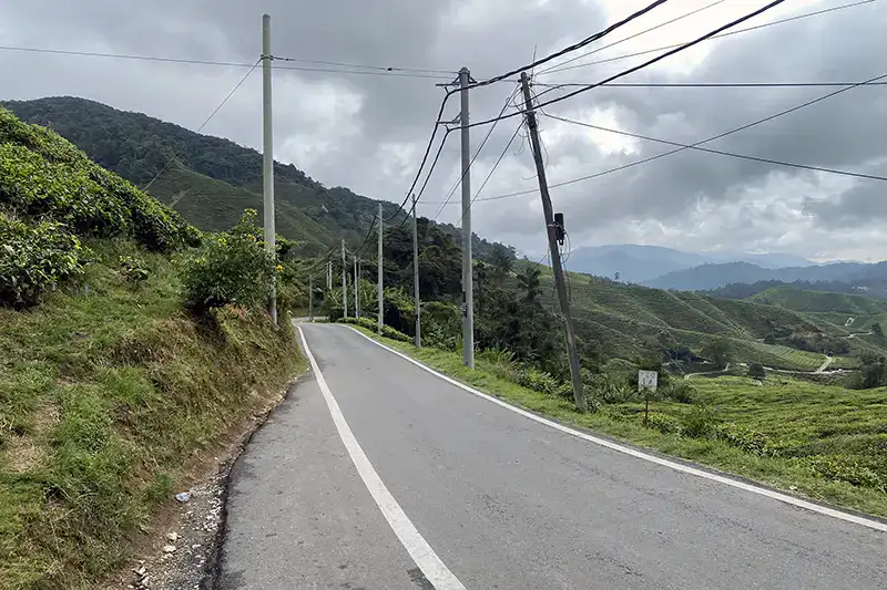 Narrow road leading to Sungai Palas BOH Tea Plantation, only accessible on a private day trip from Kuala Lumpur to Cameron Highlands