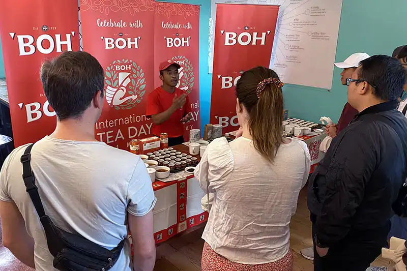 Tourists enjoying a tea tasting session at BOH Tea Plantation Sungai Palas during a private day trip from Kuala Lumpur to Cameron Highlands
