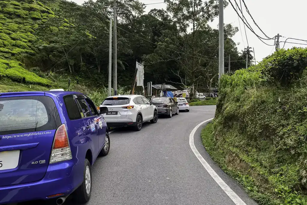 BOH Tea Plantation Sungai Palas car queue
