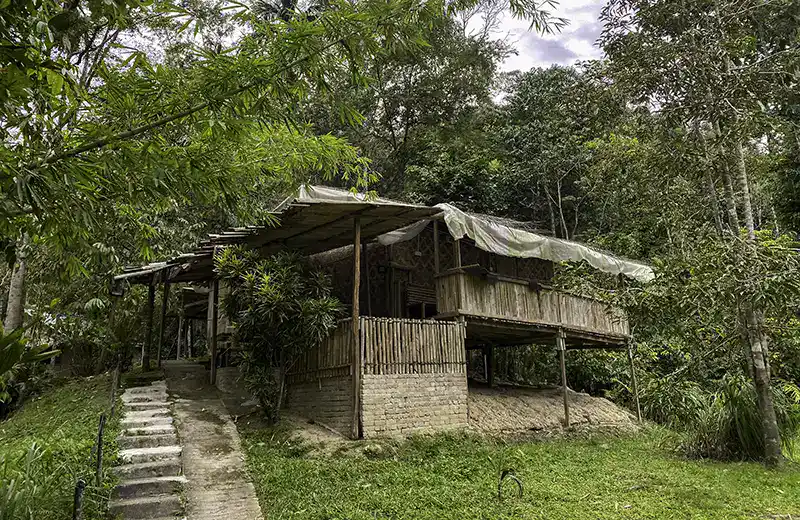 Traditional-style accommodation surrounded by forest in Ringlet town, Cameron Highlands, Malaysia