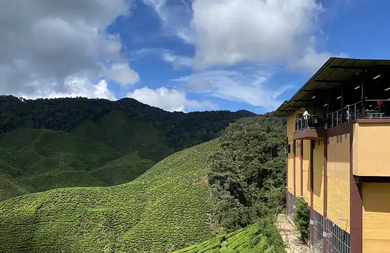 Scenic tea plantation viewpoint at Cameron Valley in Cameron Highlands, Malaysia