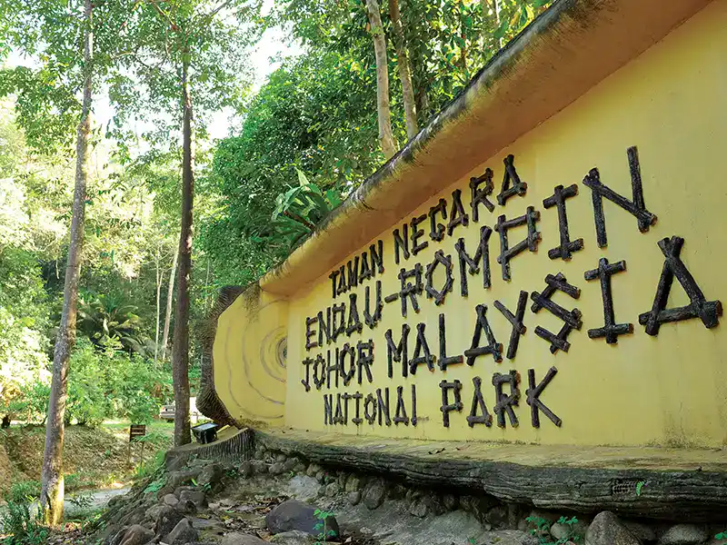 Rainforest river in Taman Negara, one of the national parks in Malaysia