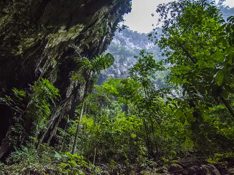 Rainforest and river landscape in Taman Negara, one of the national parks in Malaysia