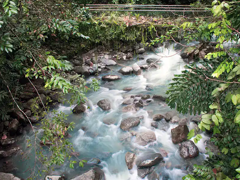 Kinabalu Park national park in Sabah Malaysia
