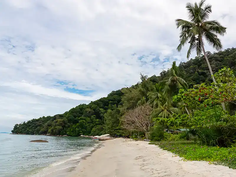 Penang national park among the smallest national parks in malaysia