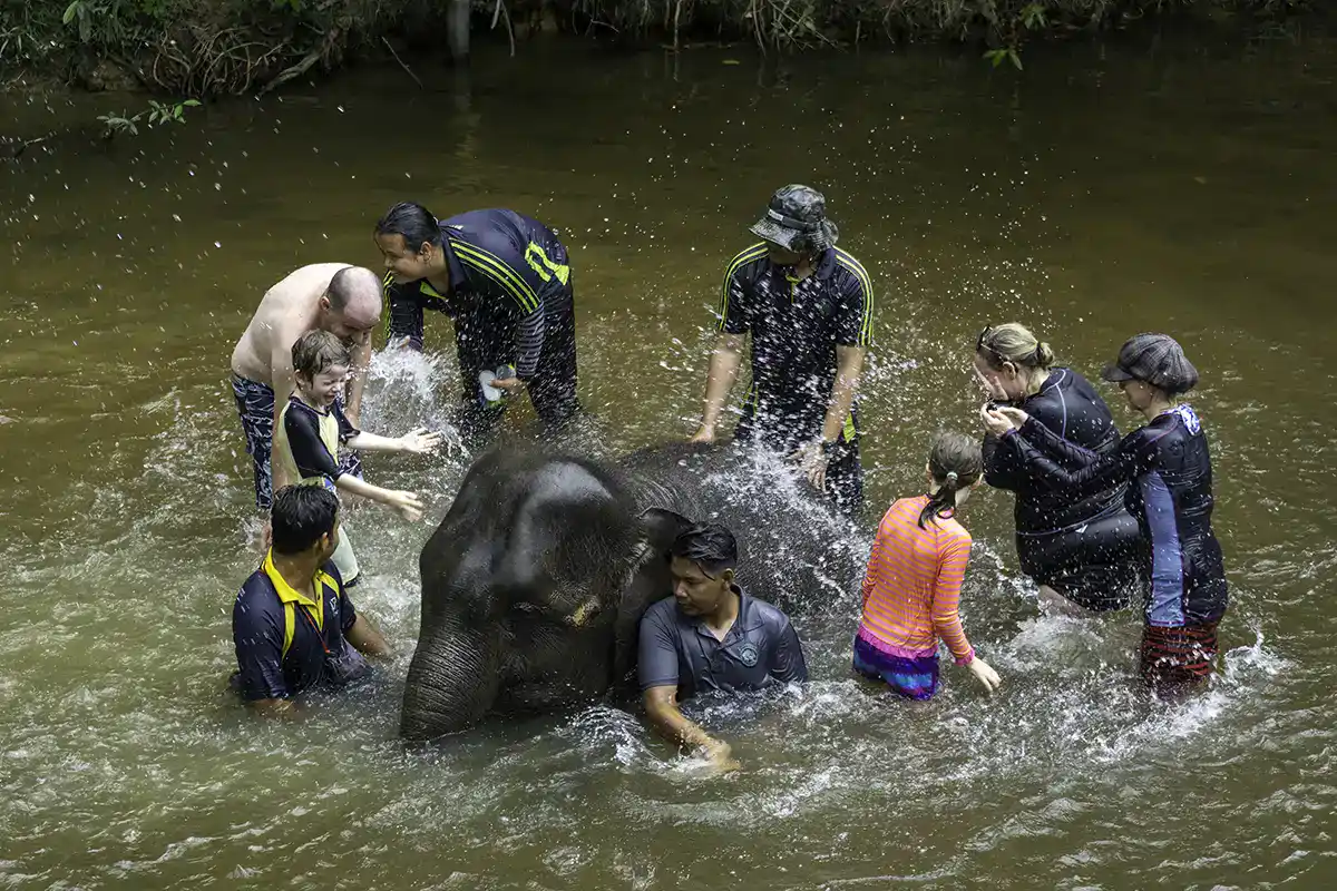Travel guide in Malaysia showing a family enjoying a nature experience with elephants