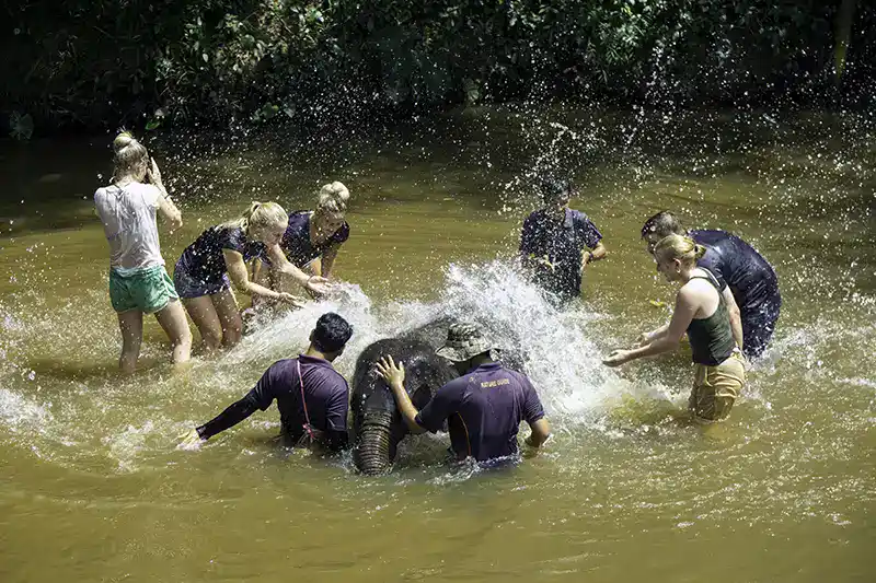 Visitors taking part in a supervised river session with elephants at Kuala Gandah in Pahang